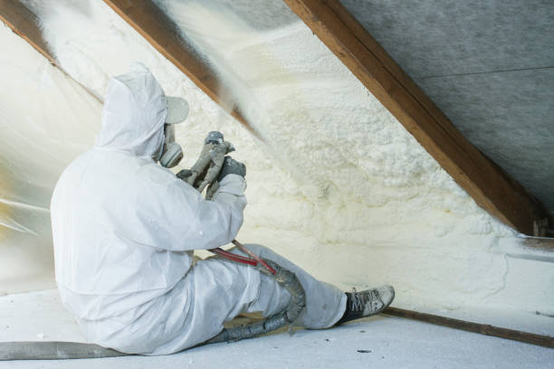 Best Eco-Friendly or Green Insulation Solutions in Long Lake, MN